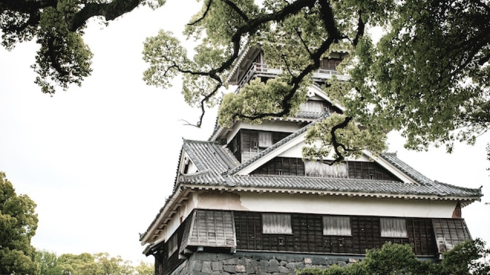 緑に囲まれた熊本城の天守閣を下から見上げた風景